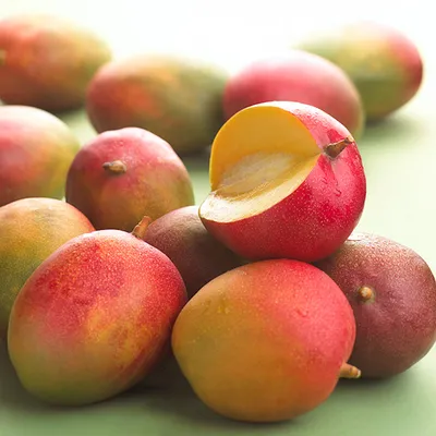 Classic Mango CL
