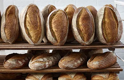 Termiškai apdorotas skaldytas ruginis salyklas - Heat Treated Crushed Rye Malt