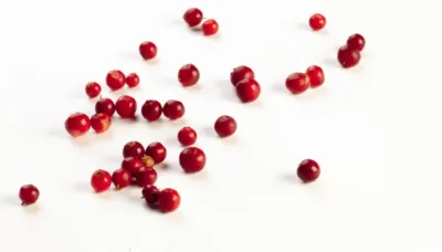 Topfil Wild Lingonberry 60 %